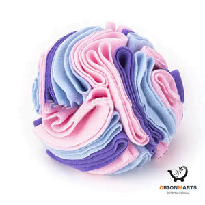 Sniffing Training Snuffle Ball Mat