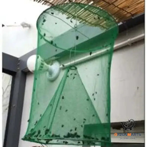 Fly Traps for Community Street Green Fly Control