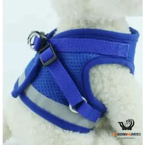 Adjustable Dog Harness and Leash Set