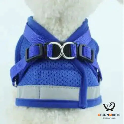 Adjustable Dog Harness and Leash Set