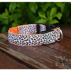 LED Dog Collar with Adjustable Nylon Strap