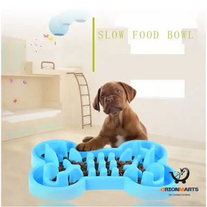 Anti-Choke Slow Feeder Dog Bowl for Travel