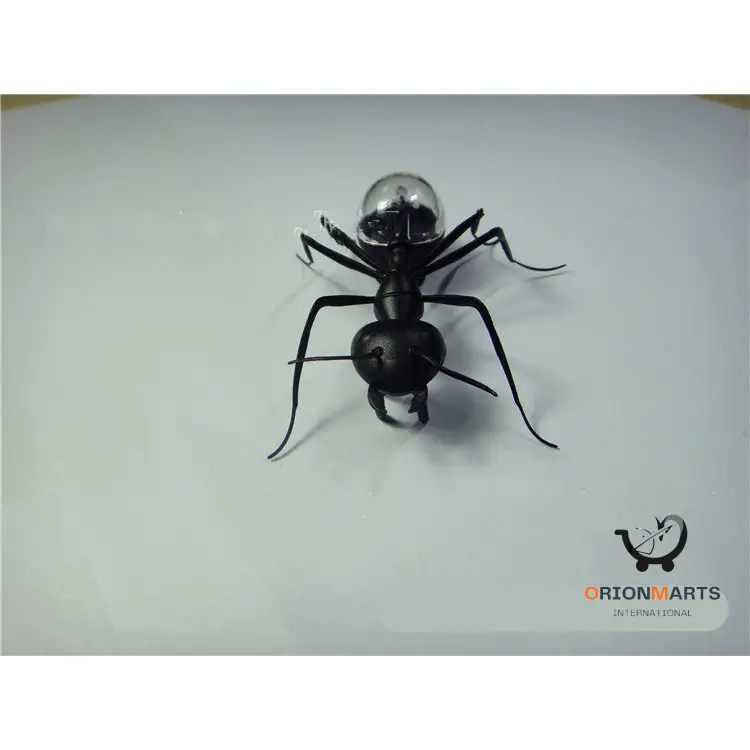 Solar Ant Pet Toy
