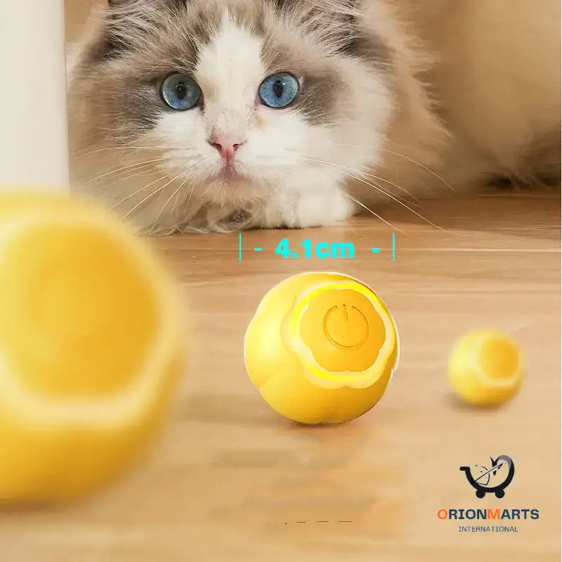 Smart Roll-N-Play Cat Toy