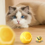 Smart Roll-N-Play Cat Toy