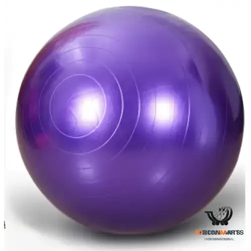 Yoga Hip-Thickening Ball Pilates Ball
