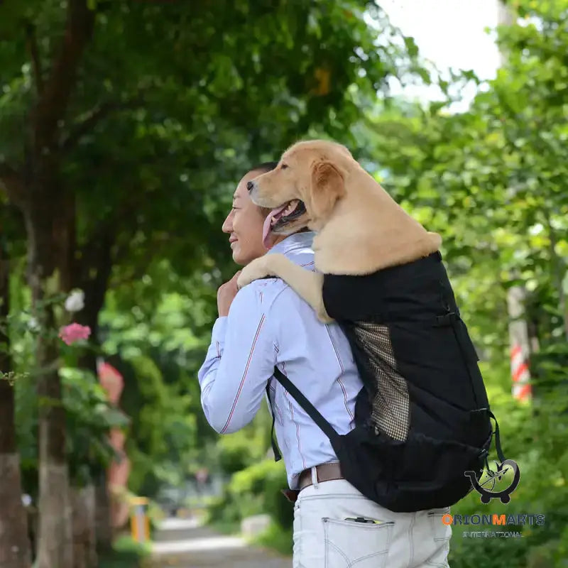 Breathable and Ventilated Pet Backpack for Outdoor