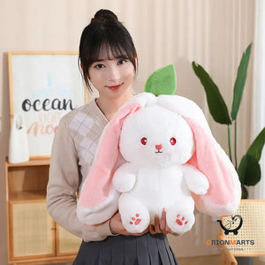 Kawaii Transformed Bunny Plush Toy