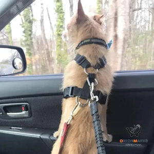 Adjustable Dog Seat Belt with Elastic and Reflective