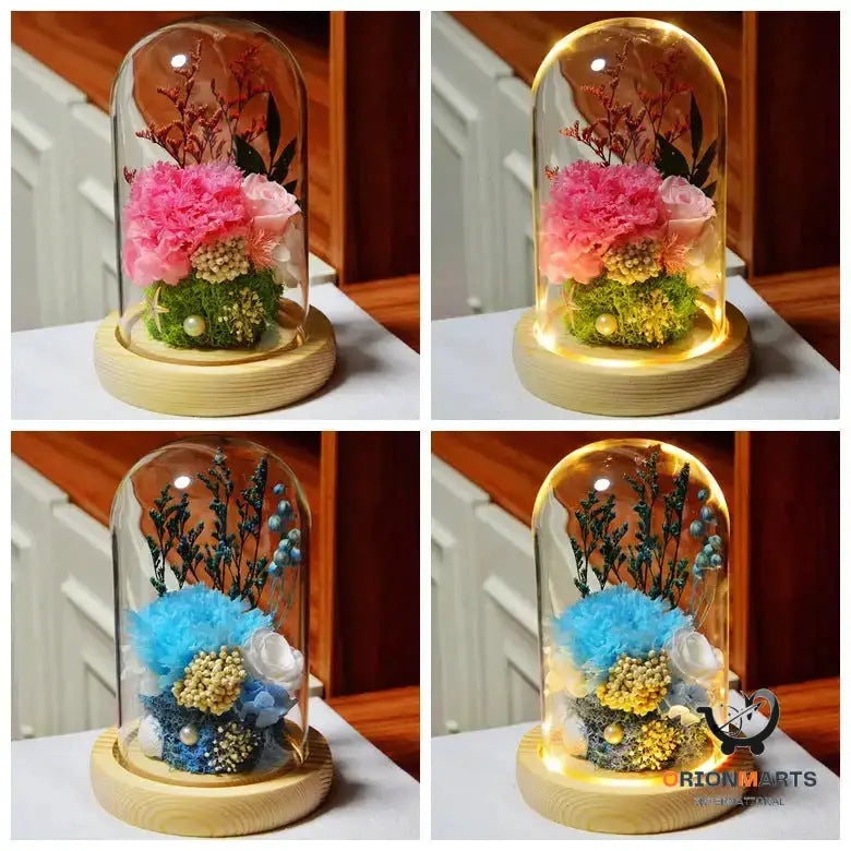 Carnation Eternal Flower Glass Cover Finished Gift Box