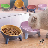 Nordic Style Pet Feeder with Stand