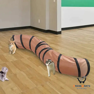 S-shaped Cat Tunnel