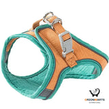 Escape-Proof Cat Harness and Leash Set with Chest Strap