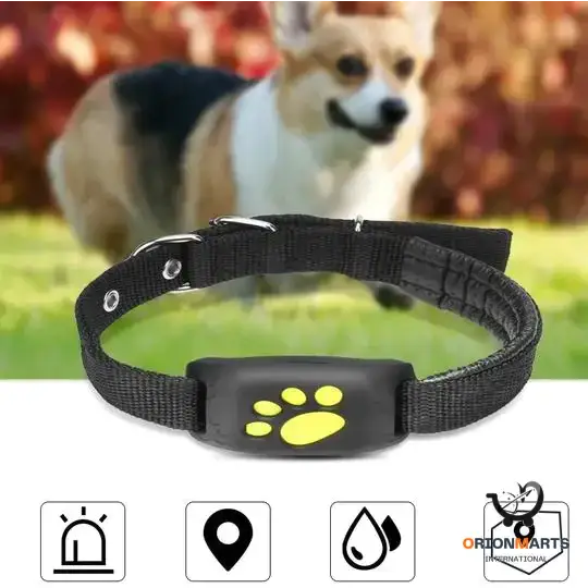 Real-Time GPS Pet Tracker