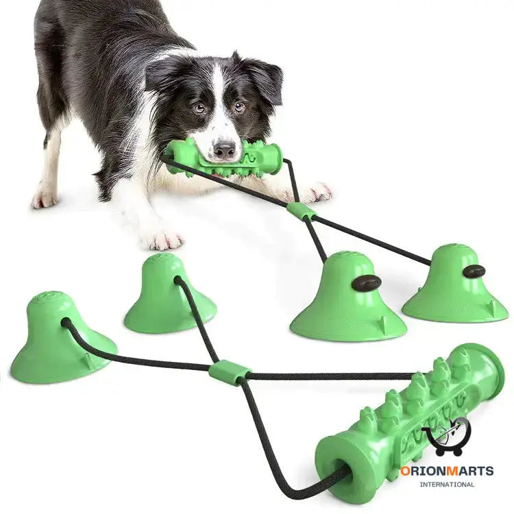 Suction Cup Molar Toy for Dogs