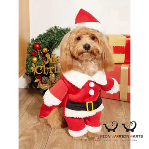 Adorable Small Dog Christmas Pet Costume