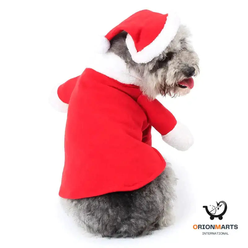 Festive Pet Standing Christmas Decoration Costume