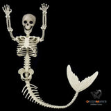 Skull Fish-skeleton Hanger Simulation