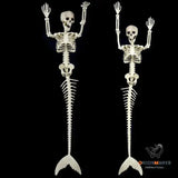 Skull Fish-skeleton Hanger Simulation
