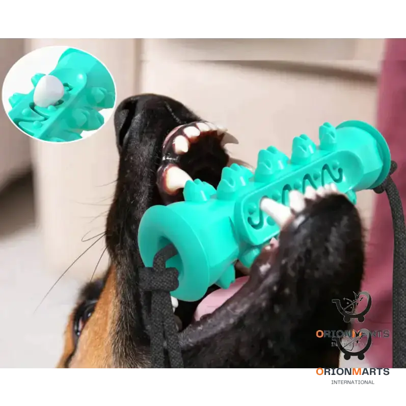 Chew Toys for Dogs Rubber Bones for Teeth Cleaning