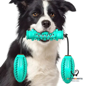 Chew Toys for Dogs Rubber Bones for Teeth Cleaning
