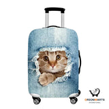 Travel Luggage Cover Protective Case